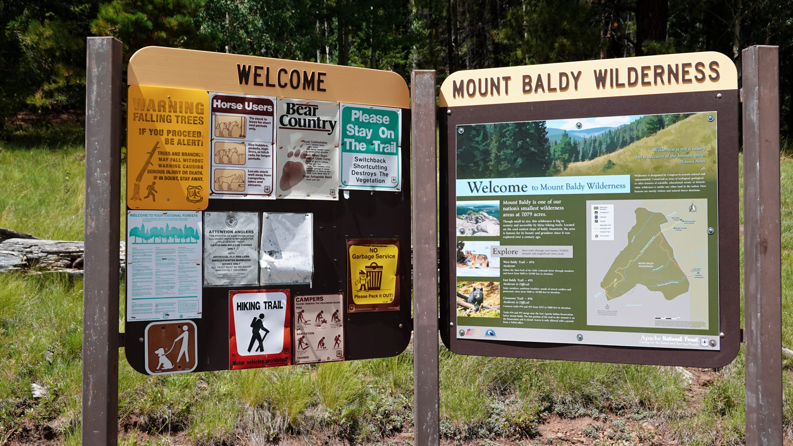 East Mount Baldy Trailhead