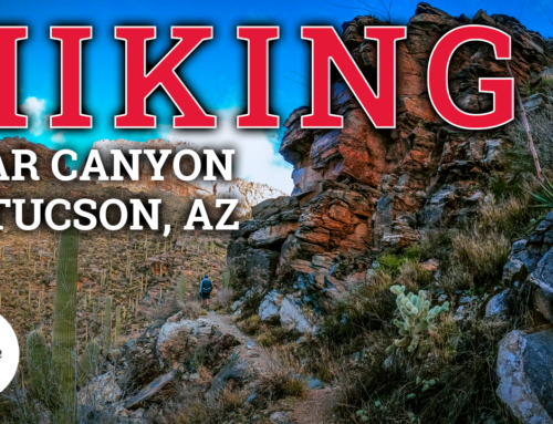The Ultimate Guide to Hiking Bear Canyon in Tucson Arizona