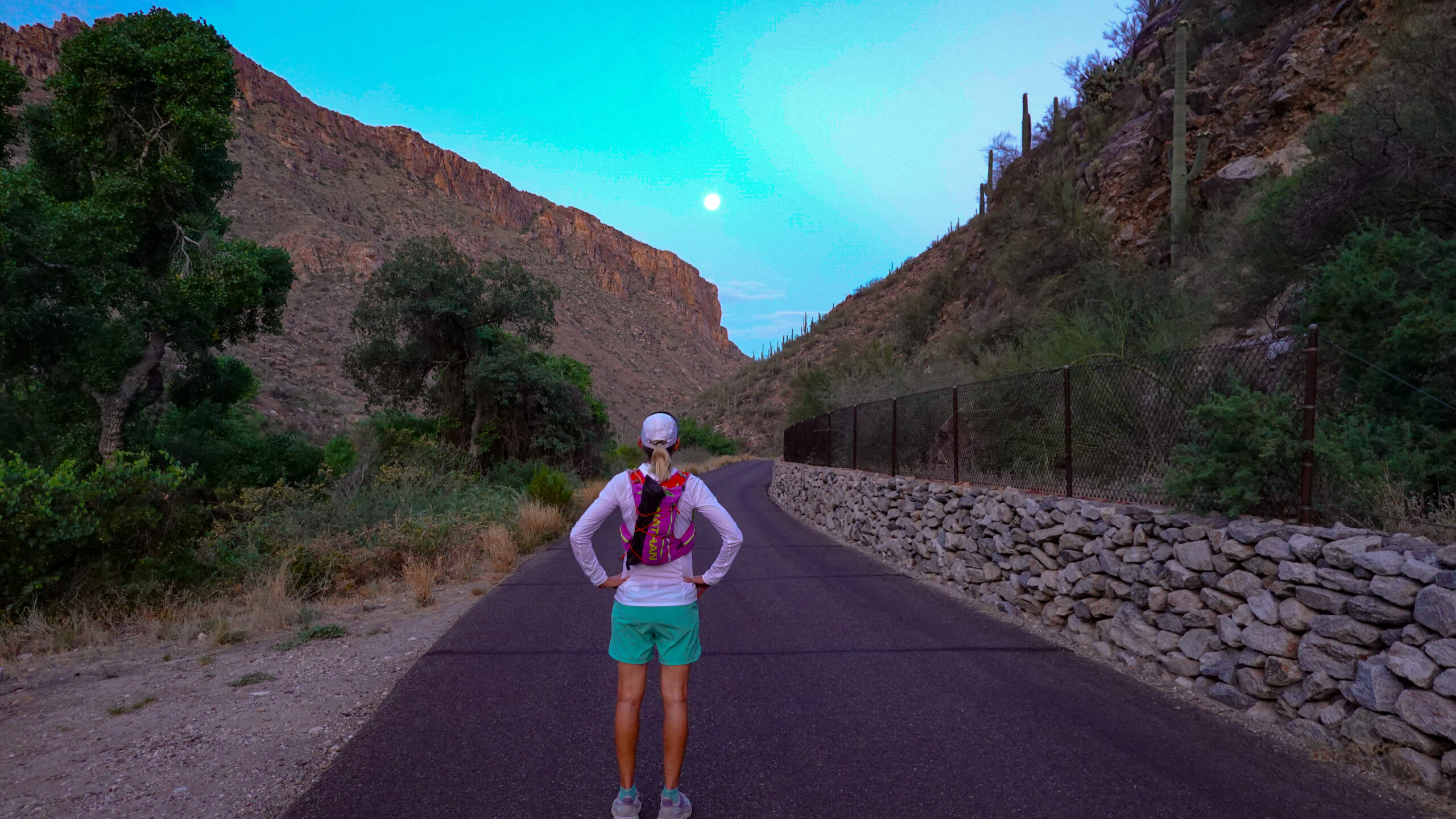 Sabino Canyon Hike