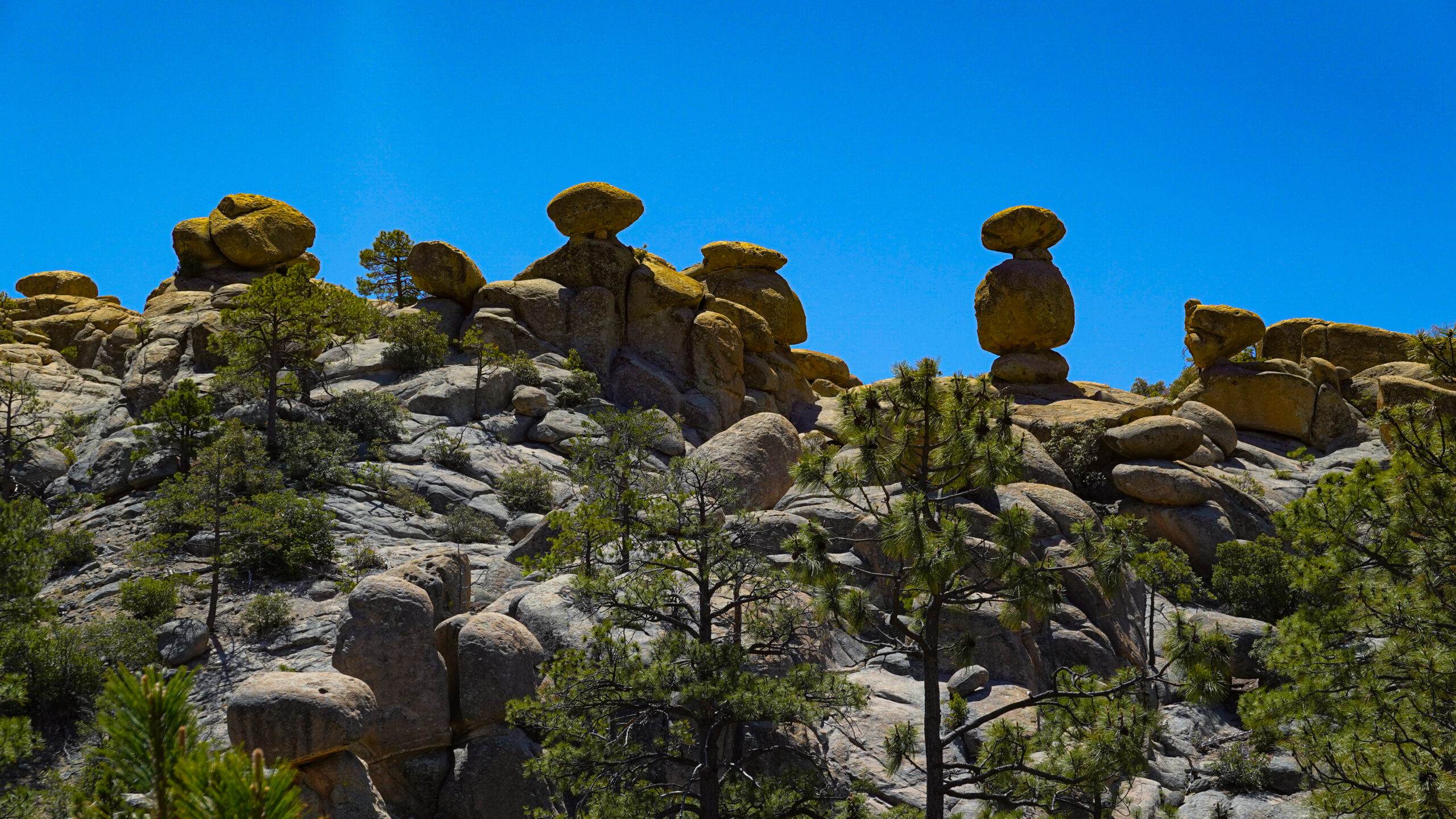 mt lemmon