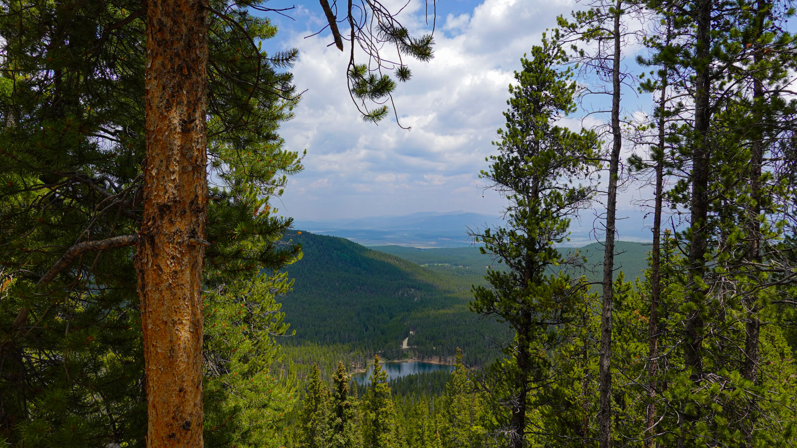 mt elbert trail