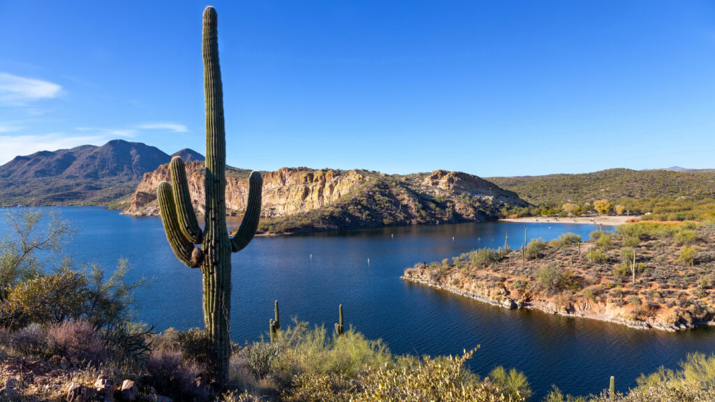 Saguaro,Lake,Panorama,With,Desert,Cactus,Foreground,View.,Butcher,Jones