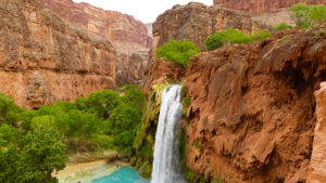havasu falls