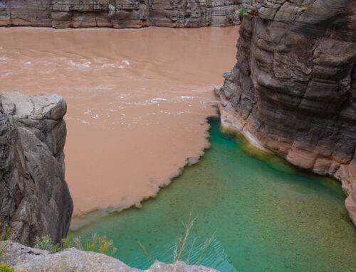 Hiking To The Confluence Where Havasu Creek Meets the Colorado River
