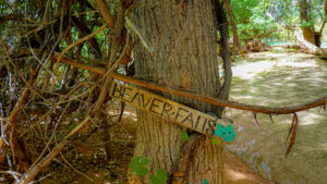 beaver falls