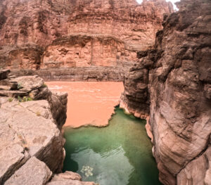 the confluence havasupai