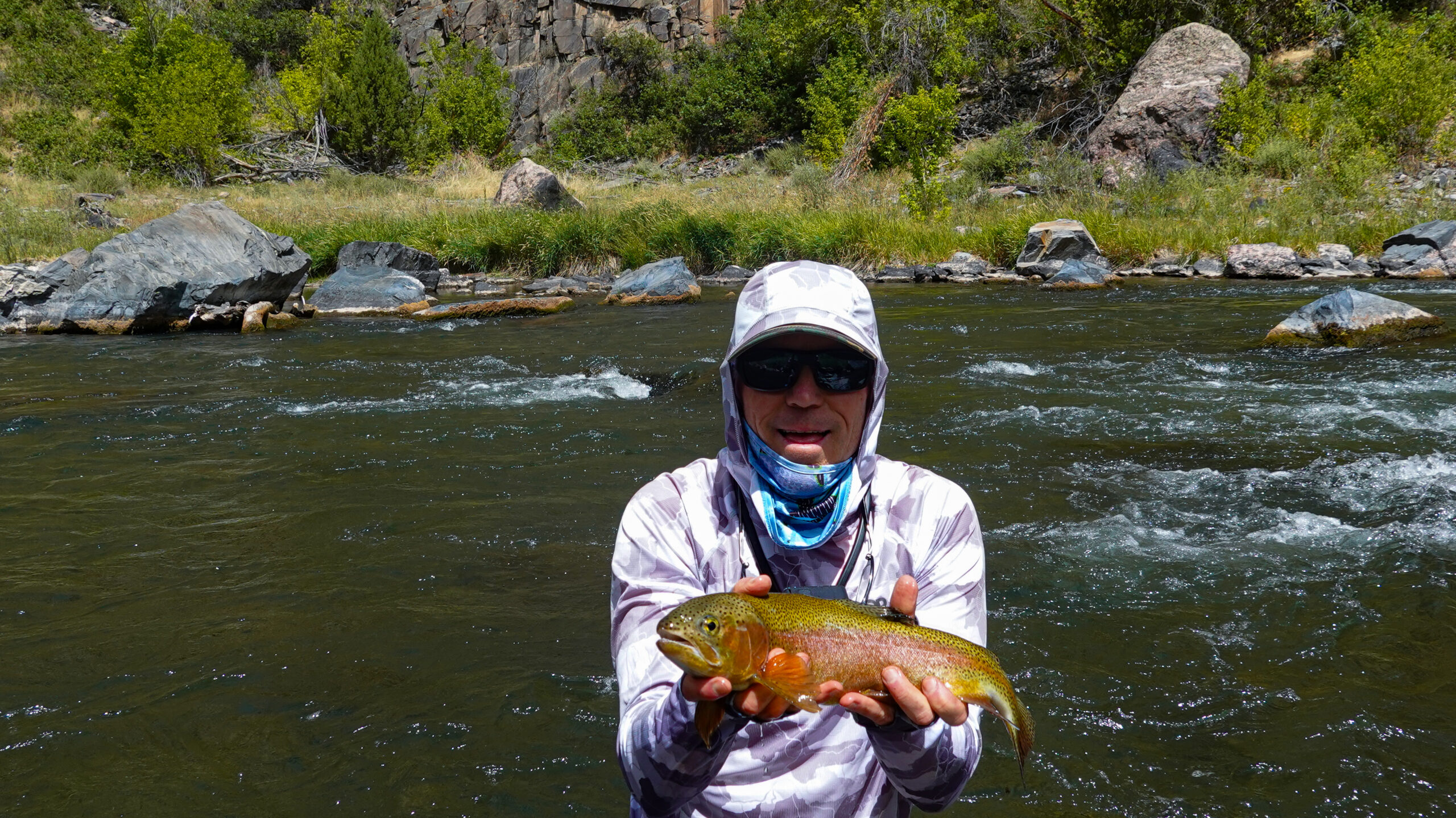 Rainbow Trout Black Canyon on the Gunnison River